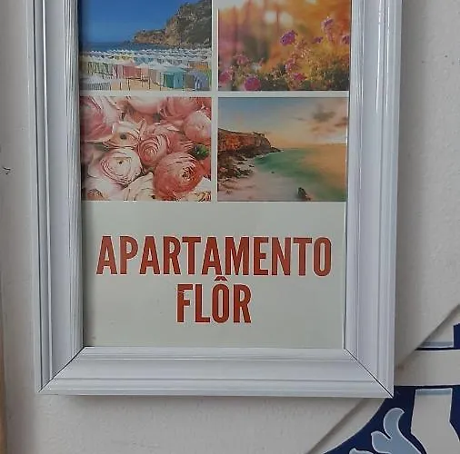 Avos-flor نازاريه