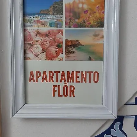 Avos-flor Nazaré
